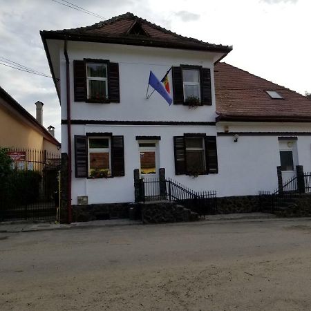 Pensiunea Liana Nemsa Экстерьер фото