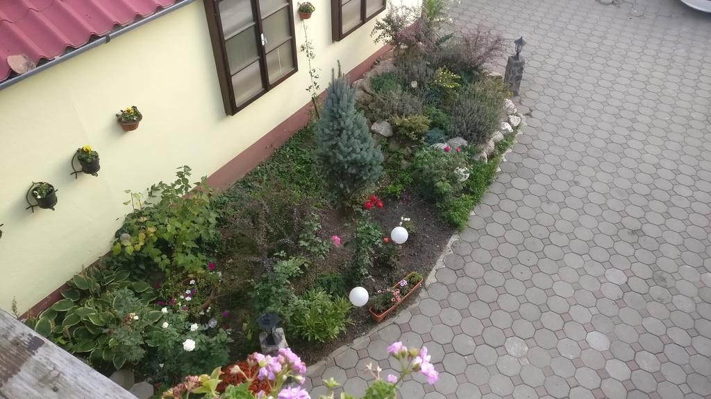 Pensiunea Liana Nemsa Экстерьер фото