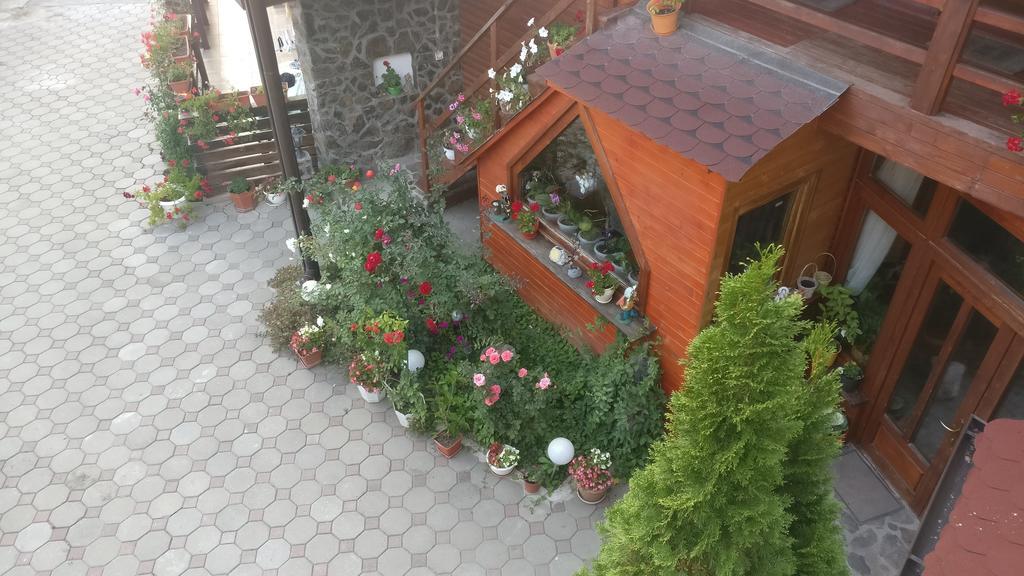 Pensiunea Liana Nemsa Экстерьер фото