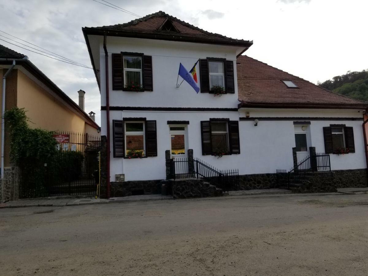 Pensiunea Liana Nemsa Экстерьер фото